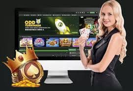 aq999 login